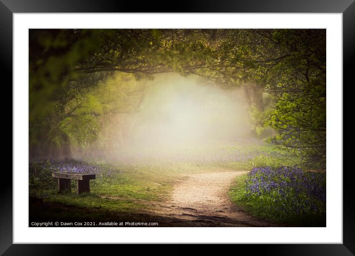 The Bluebell Glade Framed Mounted Print by Dawn Cox