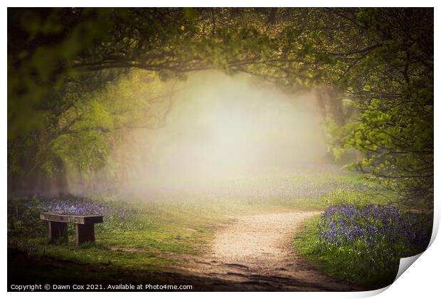 The Bluebell Glade Print by Dawn Cox