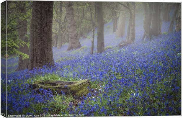 Tranquil bluebell woodland Canvas Print by Dawn Cox