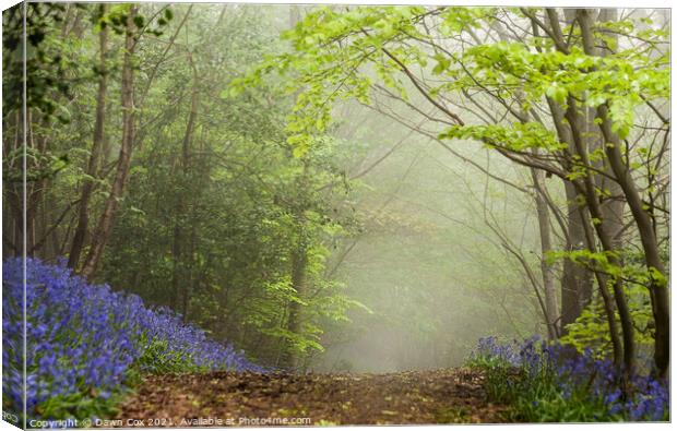 Bluebell Hill Canvas Print by Dawn Cox