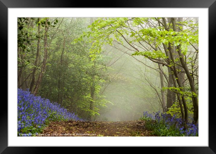 Bluebell Hill Framed Mounted Print by Dawn Cox