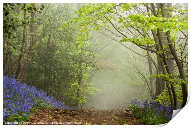 Bluebell Hill Print by Dawn Cox