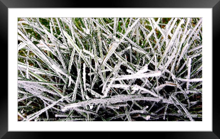 Abstract Frosted Grass Framed Mounted Print by john hill