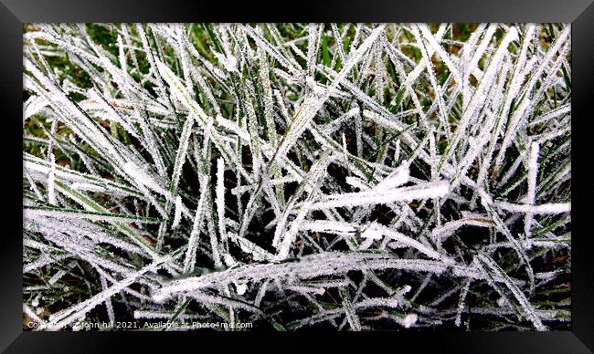 Abstract Frosted Grass Framed Print by john hill