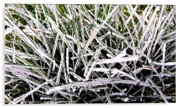 Abstract Frosted Grass Acrylic by john hill