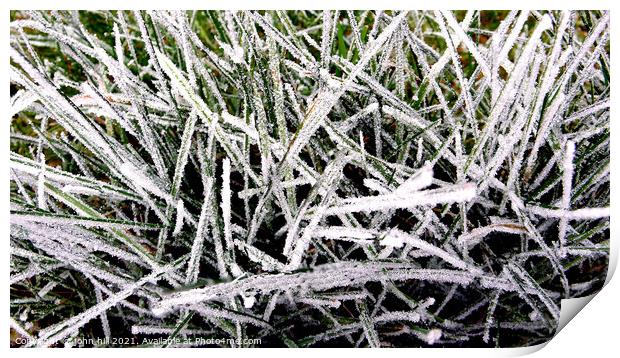 Abstract Frosted Grass Print by john hill