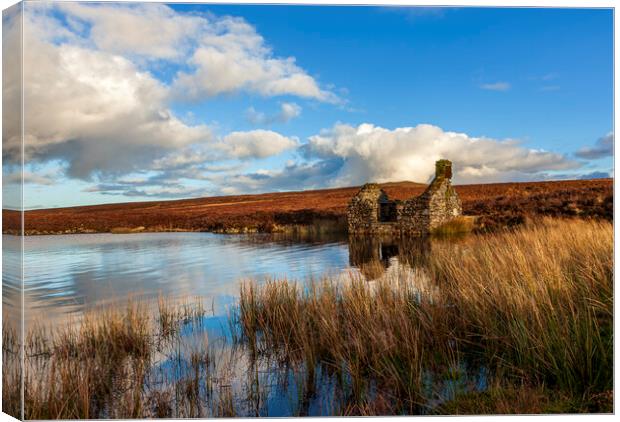 Llyn Conwy boathouse Canvas Print by Rory Trappe