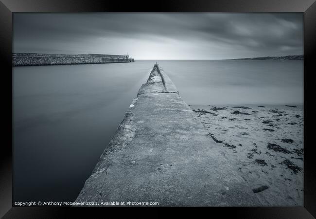 St Andrews Harbour in mono Framed Print by Anthony McGeever