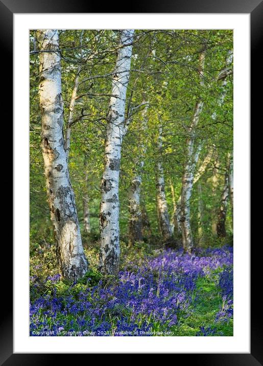 Bluebell Wood Framed Mounted Print by Stephen Oliver