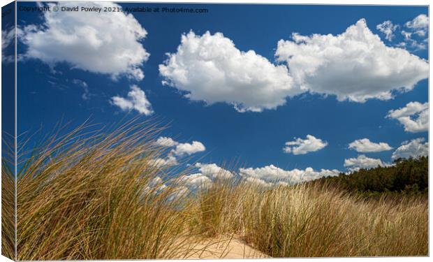 Summer Clouds above the Dunes At Wells Canvas Print by David Powley