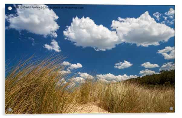 Summer Clouds above the Dunes At Wells Acrylic by David Powley