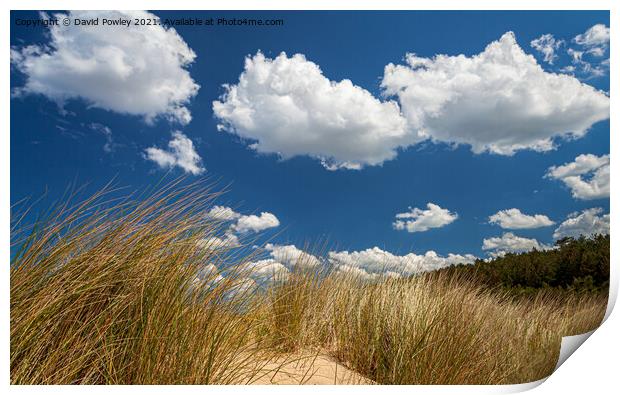 Summer Clouds above the Dunes At Wells Print by David Powley