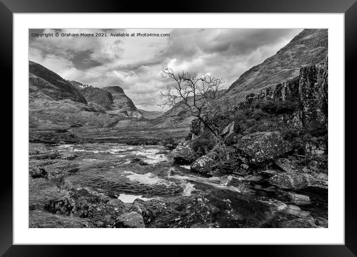 Lone tree in glencoe monochrome Framed Mounted Print by Graham Moore
