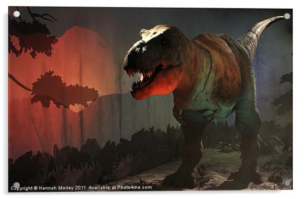 Tyrannosaurus Rex Acrylic by Hannah Morley