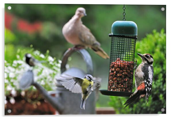 Bird Feeder in Garden Acrylic by Arterra 