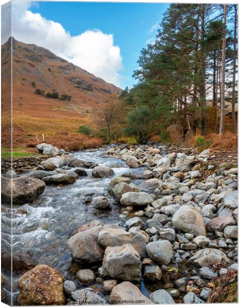 Stream near Wastwater, Lake District Canvas Print by June Ross