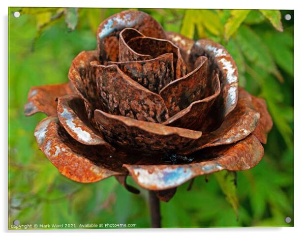 Rusty Rose Acrylic by Mark Ward