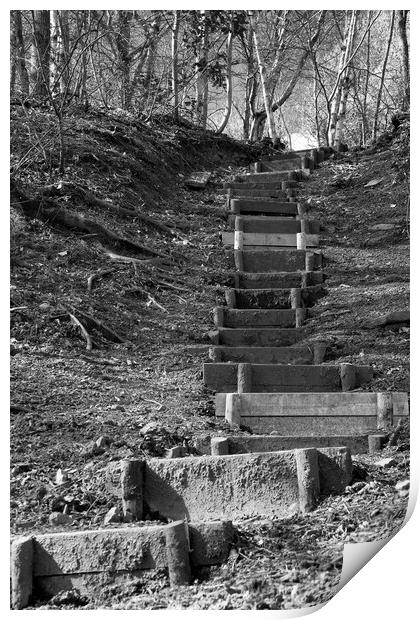 Woodland Steps mono Print by Glen Allen