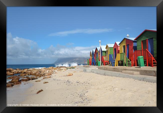 Beach huts in Cape Town Framed Print by Adrian Paulsen