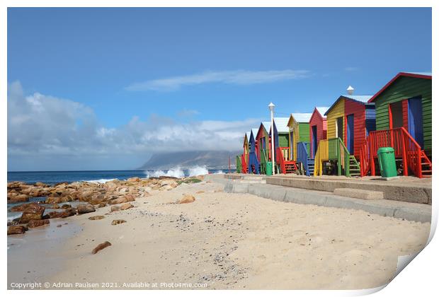 Beach huts in Cape Town Print by Adrian Paulsen