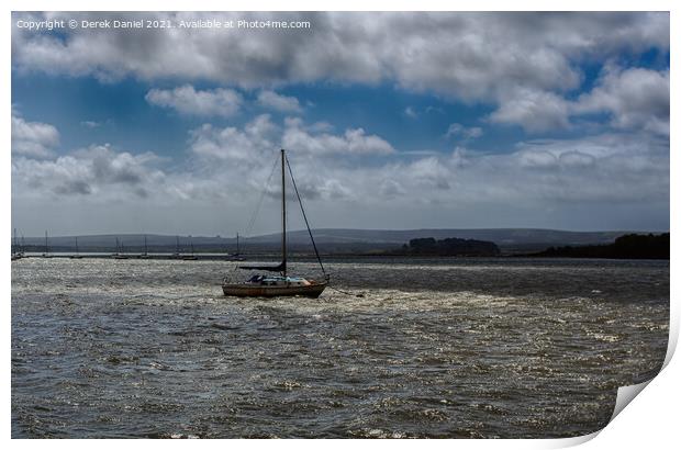 View from Lake View Pier Print by Derek Daniel