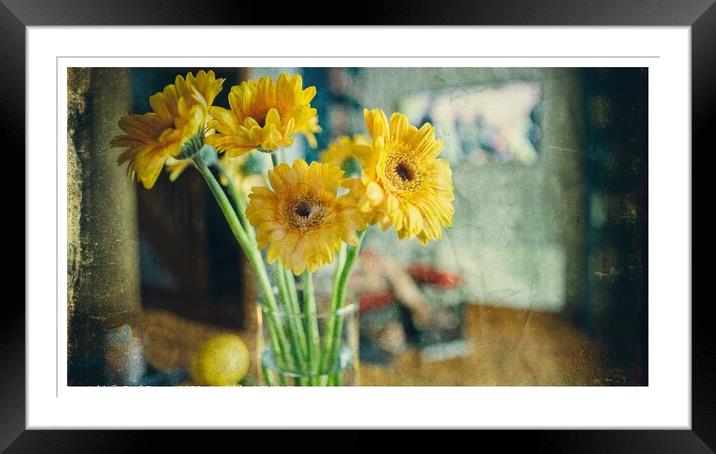 Plant flower Framed Mounted Print by Cecil Owens