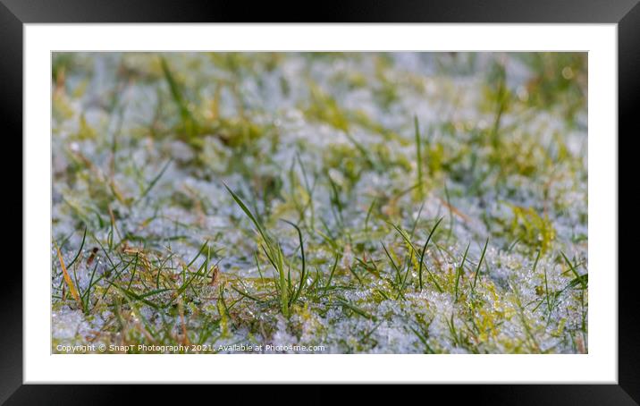 Close up of blades of grass covered in white frost in the winter sun Framed Mounted Print by SnapT Photography