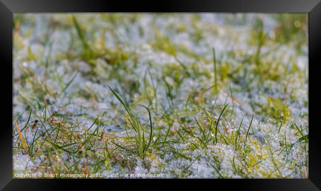 Close up of blades of grass covered in white frost in the winter sun Framed Print by SnapT Photography