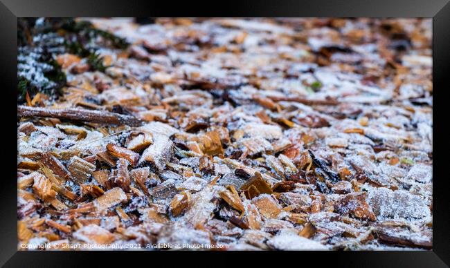 Close up of white frost covered wood chips in winter Framed Print by SnapT Photography