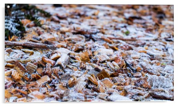 Close up of white frost covered wood chips in winter Acrylic by SnapT Photography