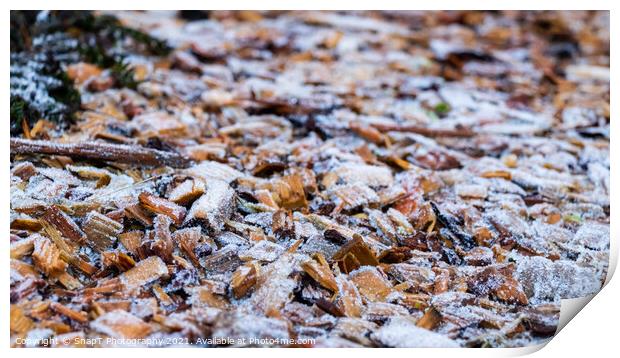 Close up of white frost covered wood chips in winter Print by SnapT Photography