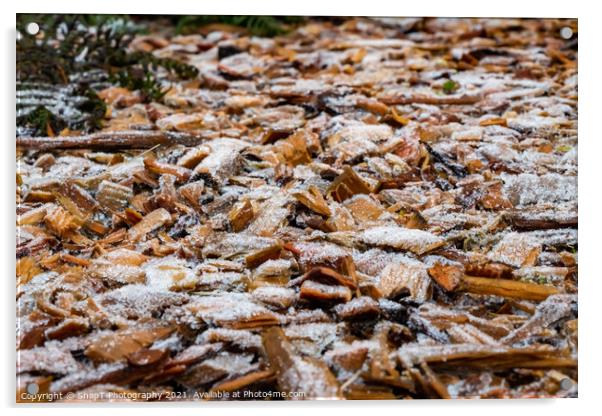 Close up of white frost covered wood chips in winter Acrylic by SnapT Photography