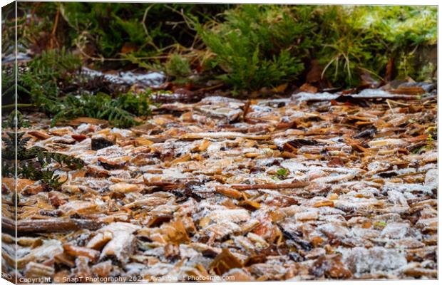 Close up of white frost covered wood chips in a garden in winter Canvas Print by SnapT Photography