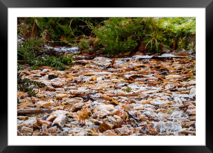 Close up of white frost covered wood chips in a garden in winter Framed Mounted Print by SnapT Photography