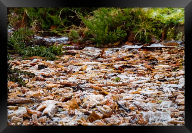 Close up of white frost covered wood chips in a garden in winter Framed Print by SnapT Photography