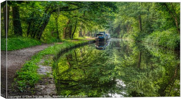 Serene Canal Dreams Canvas Print by Clive Ingram