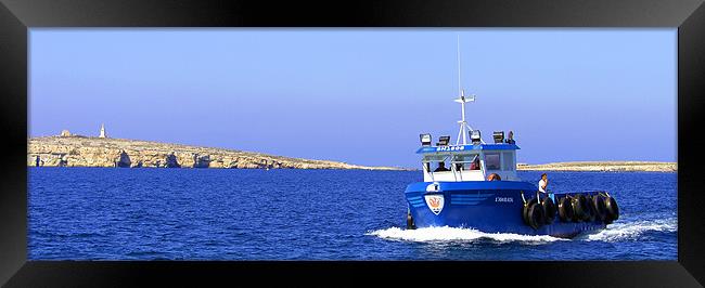 Tugboat Framed Print by Tom Gomez