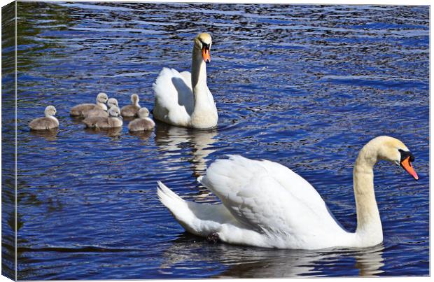 Mother, father and the kids Canvas Print by Allan Durward Photography