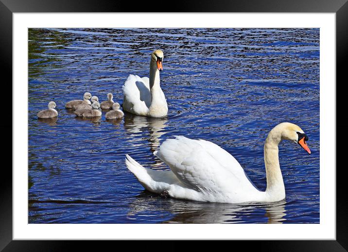 Mother, father and the kids Framed Mounted Print by Allan Durward Photography