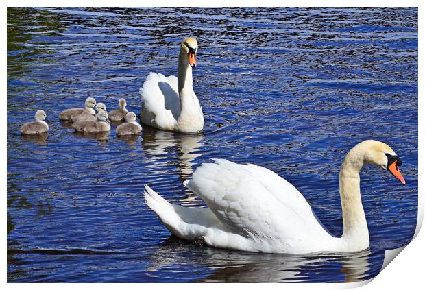 Mother, father and the kids Print by Allan Durward Photography