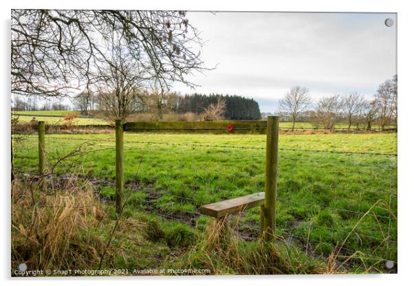 A poppy fixed to a fence style on a countryside trail Acrylic by SnapT Photography