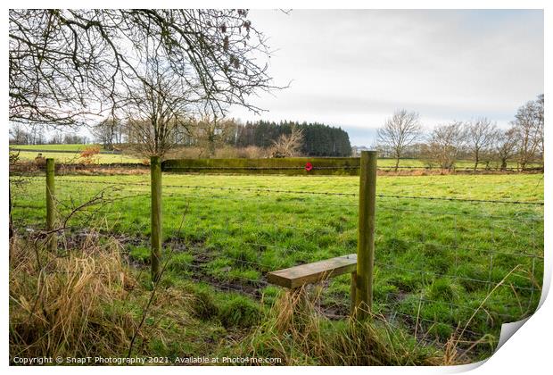 A poppy fixed to a fence style on a countryside trail Print by SnapT Photography