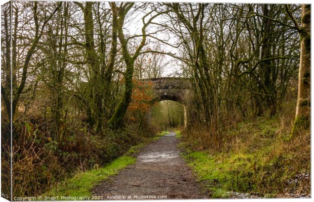 Trail through a broadleaf woodland in Scotland, with a bridge in the background Canvas Print by SnapT Photography