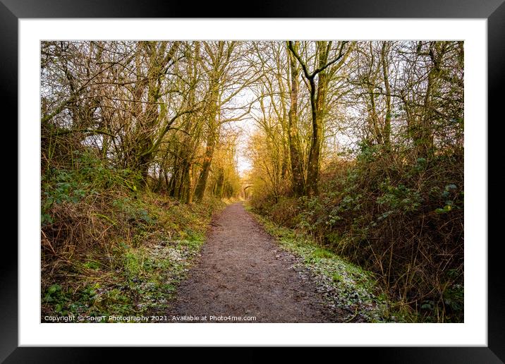 Woodland trail along the old Dumfries and Galloway Railway line, Scotland Framed Mounted Print by SnapT Photography