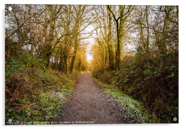 Woodland trail along the old Dumfries and Galloway Railway line, Scotland Acrylic by SnapT Photography