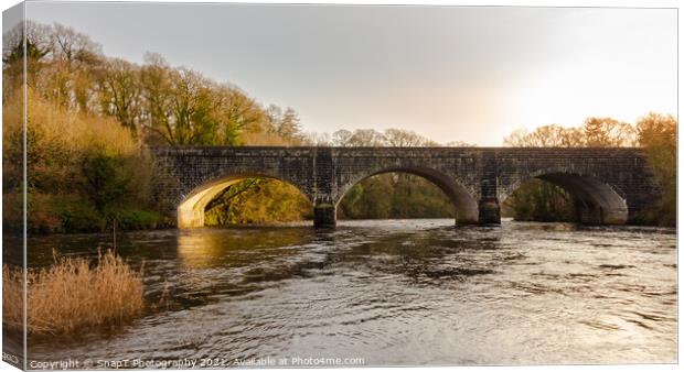 Threave Bridge over the River Dee near Castle Douglas, on a sunny winters day Canvas Print by SnapT Photography