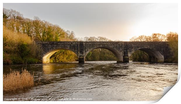 Threave Bridge over the River Dee near Castle Douglas, on a sunny winters day Print by SnapT Photography