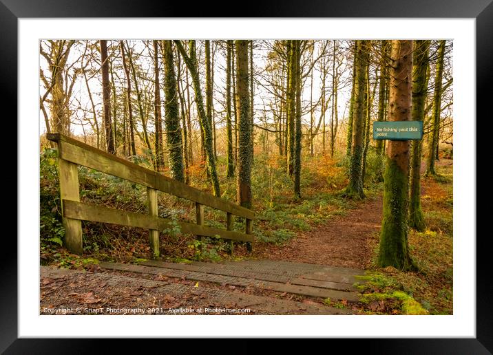 No fishing beyond this point sign, on a broafleaf woodland trail and steps Framed Mounted Print by SnapT Photography