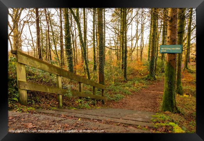 No fishing beyond this point sign, on a broafleaf woodland trail and steps Framed Print by SnapT Photography