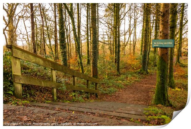 No fishing beyond this point sign, on a broafleaf woodland trail and steps Print by SnapT Photography